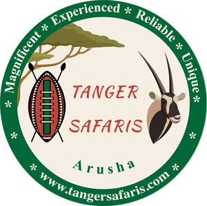 Tanger Safaris