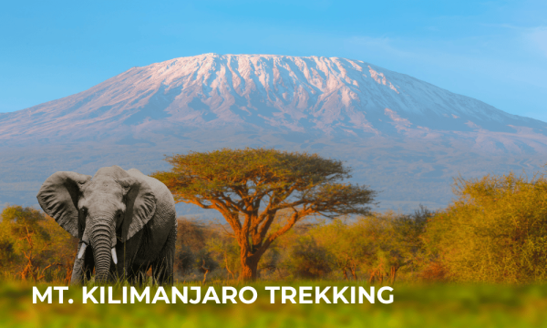 KILIMANJARO TREKKING
