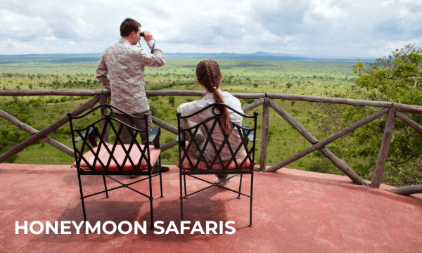 HONEYMOON SAFARIS