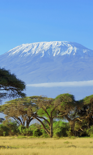 Kilimandscharo 7 Tage Machame Route